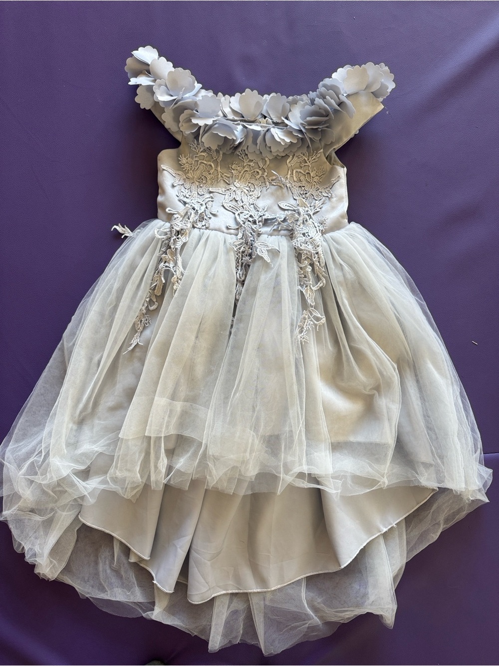 Silver Floral Applique Tulle Party Dress for Girls